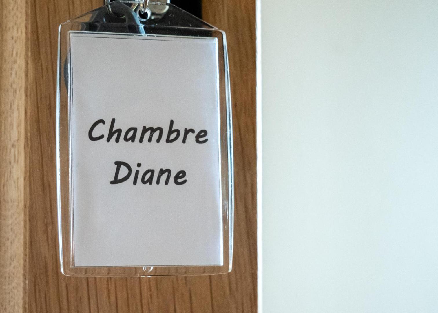 Chateau Du Bertry La Bouexiere Pokój zdjęcie
